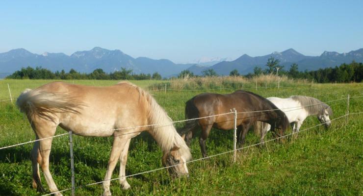 Gaestehaus Annemarie Rimsting Luaran gambar
